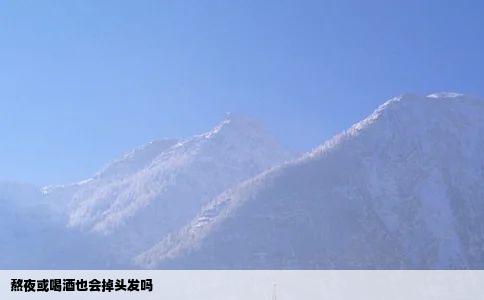 熬夜或喝酒也会掉头发吗