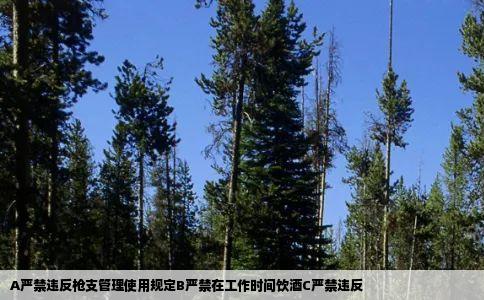 A严禁违反枪支管理使用规定B严禁在工作时间饮酒C严禁违反