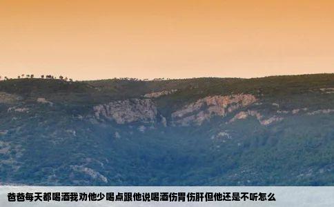 爸爸每天都喝酒我劝他少喝点跟他说喝酒伤胃伤肝但他还是不听怎么