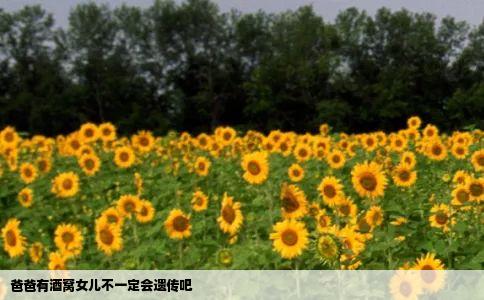 爸爸有酒窝女儿不一定会遗传吧