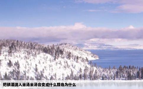 把碘酒滴入米汤米汤会变成什么颜色为什么