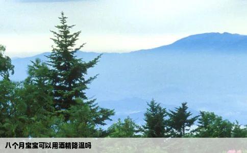 八个月宝宝可以用酒精降温吗