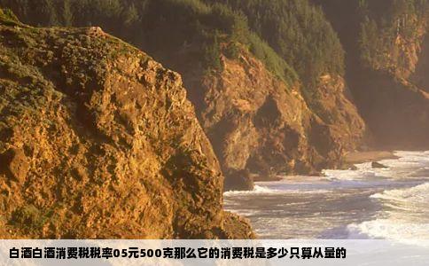 白酒白酒消费税税率05元500克那么它的消费税是多少只算从量的