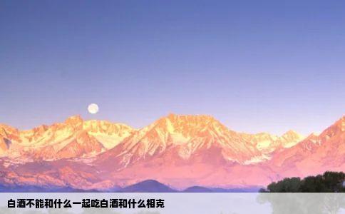 白酒不能和什么一起吃白酒和什么相克