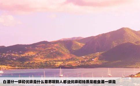 白酒分一级和优级是什么意思啊别人都说优级和特质是粮食酒一级是