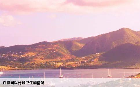 白酒可以代替卫生酒精吗