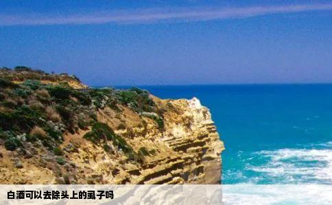 白酒可以去除头上的虱子吗