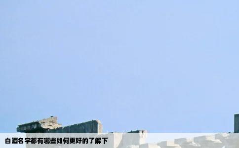 白酒名字都有哪些如何更好的了解下