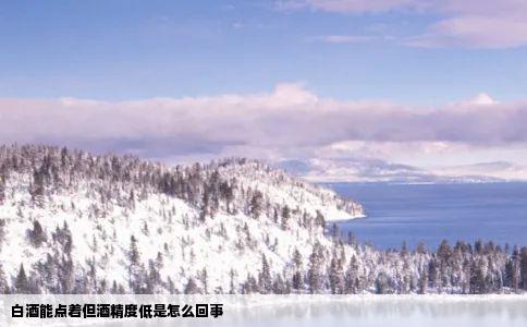 白酒能点着但酒精度低是怎么回事