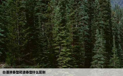 白酒浓香型和清香型什么区别