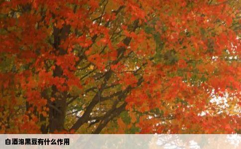 白酒泡黑豆有什么作用