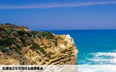 白酒泡三七可治什么病具体点