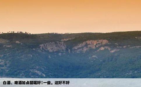 白酒啤酒加点醋喝好呑一些这好不好