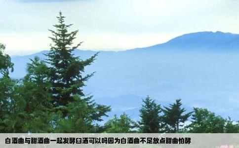 白酒曲与甜酒曲一起发酵臼洒可以吗因为白酒曲不足放点甜曲怕酵