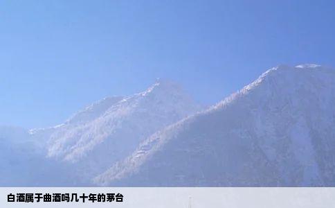 白酒属于曲酒吗几十年的茅台