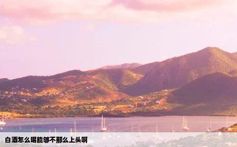 白酒怎么喝能够不那么上头啊