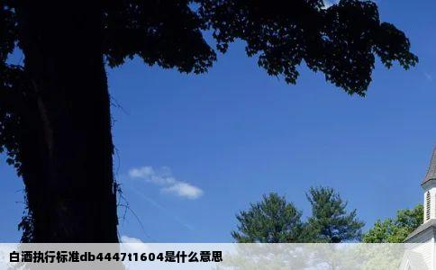 白酒执行标准db4447t1604是什么意思