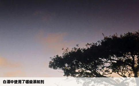 白酒中使用了哪些添加剂
