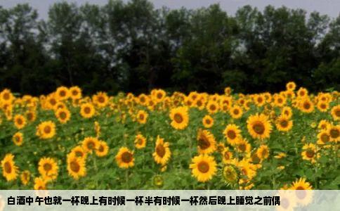 白酒中午也就一杯晚上有时候一杯半有时候一杯然后晚上睡觉之前偶