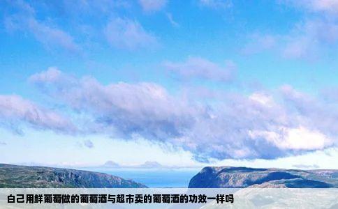 白己用鲜葡萄做的葡萄酒与超市卖的葡萄酒的功效一样吗