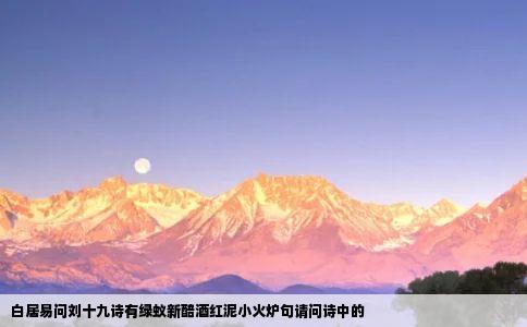 白居易问刘十九诗有绿蚁新醅酒红泥小火炉句请问诗中的