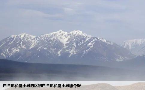 白兰地和威士忌的区别白兰地和威士忌哪个好