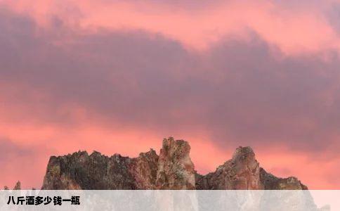 八斤酒多少钱一瓶