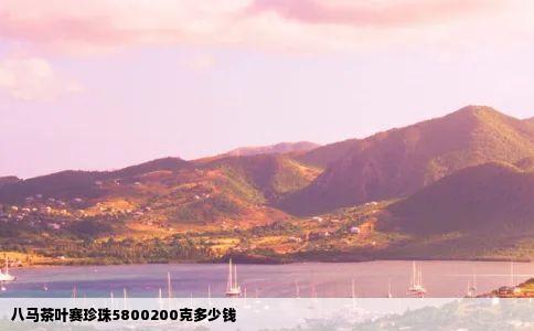 八马茶叶赛珍珠5800200克多少钱