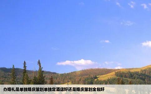 办婚礼是单独婚庆策划单独定酒店好还是婚庆策划全包好