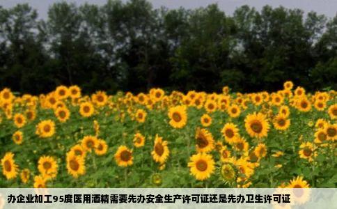 办企业加工95度医用酒精需要先办安全生产许可证还是先办卫生许可证