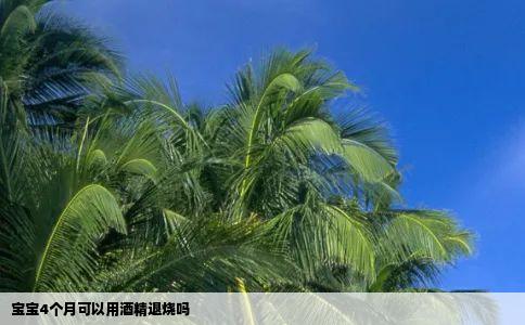 宝宝4个月可以用酒精退烧吗