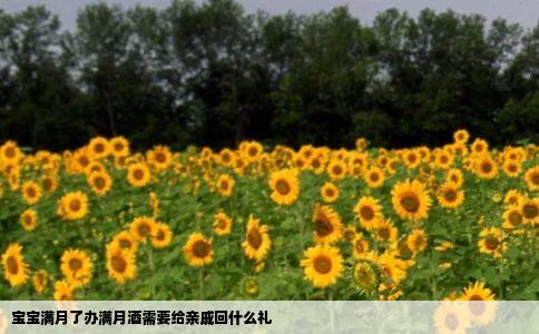 宝宝满月了办满月酒需要给亲戚回什么礼