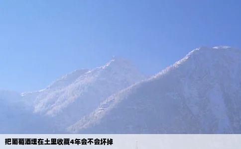 把葡萄酒埋在土里收藏4年会不会坏掉