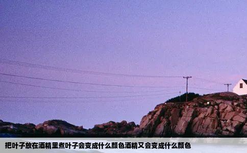 把叶子放在酒精里煮叶子会变成什么颜色酒精又会变成什么颜色