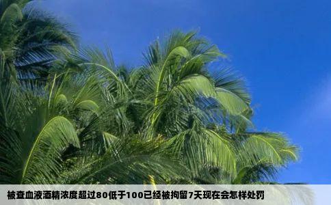被查血液酒精浓度超过80低于100已经被拘留7天现在会怎样处罚