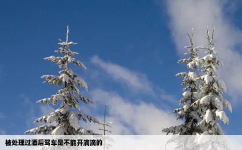 被处理过酒后驾车是不能开滴滴的