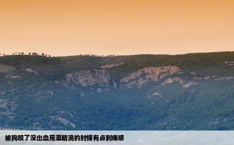 被狗咬了没出血用酒精滴的时候有点刺痛感