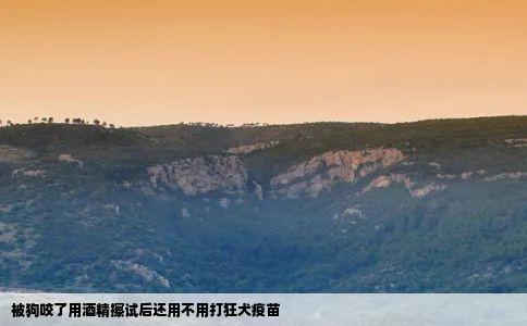 被狗咬了用酒精擦试后还用不用打狂犬疫苗