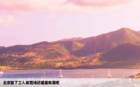 北京除了工人体育场还哪里有酒吧