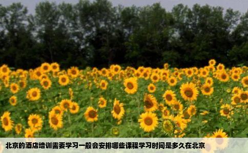北京的酒店培训需要学习一般会安排哪些课程学习时间是多久在北京