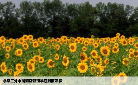 北京二外中瑞酒店管理学院到底怎样