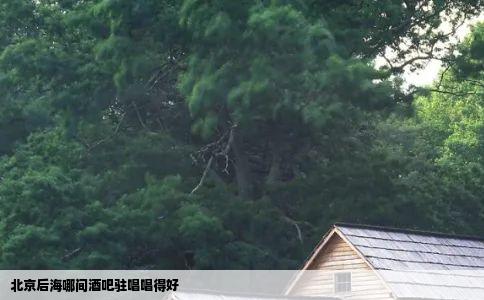 北京后海哪间酒吧驻唱唱得好