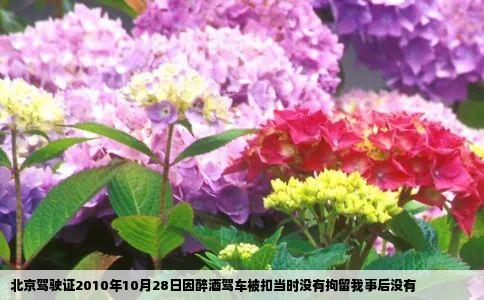 北京驾驶证2010年10月28日因醉酒驾车被扣当时没有拘留我事后没有