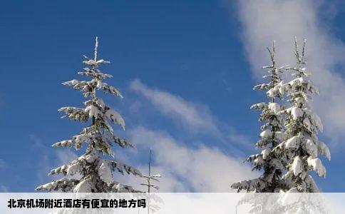 北京机场附近酒店有便宜的地方吗