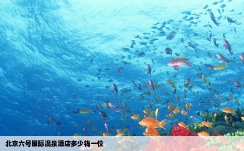 北京六号国际温泉酒店多少钱一位