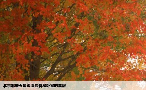 北京哪些五星级酒店有双卧室的套房