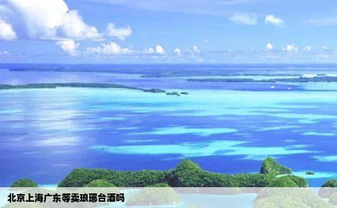 北京上海广东等卖琅琊台酒吗