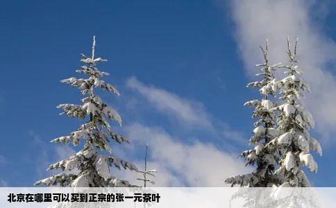 北京在哪里可以买到正宗的张一元茶叶