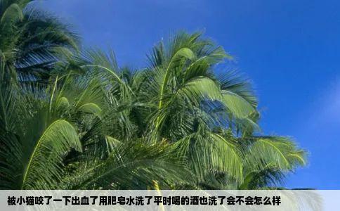 被小猫咬了一下出血了用肥皂水洗了平时喝的酒也洗了会不会怎么样