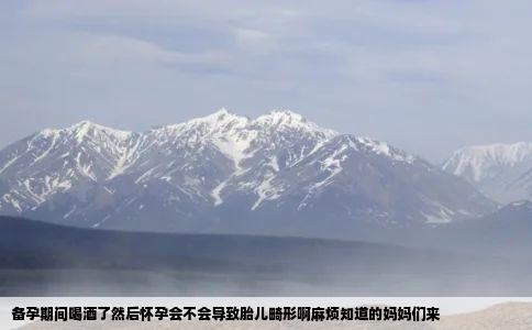 备孕期间喝酒了然后怀孕会不会导致胎儿畸形啊麻烦知道的妈妈们来